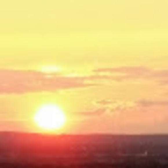 Meet your Posher, Sandra - Picture 1 of 1